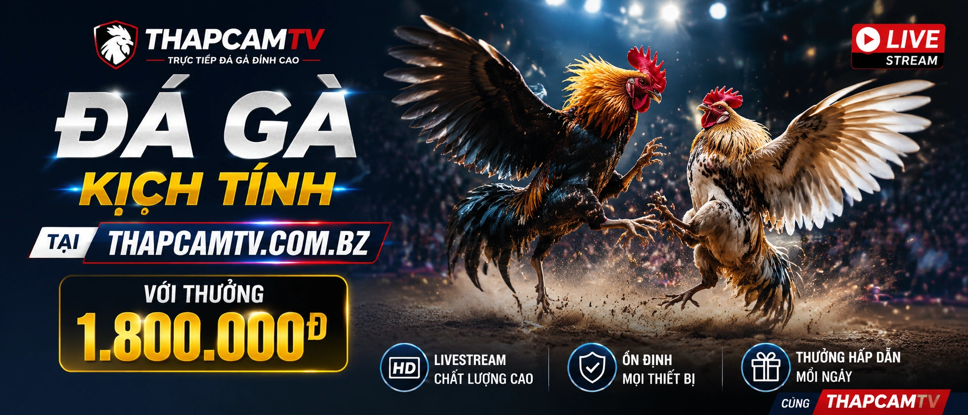 Casino thapcamtv.com.bz: Live Casino, Nổ Hũ, Bắn Cá banner